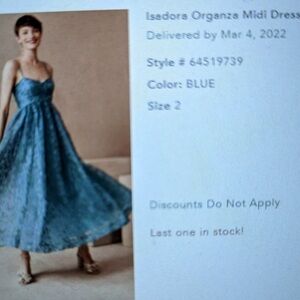 Isadora dusty blue size 2 empire waist formal dress organza midi dress prom